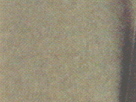 HL11
