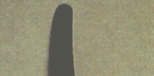 HL8