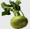 Kohlrabi1